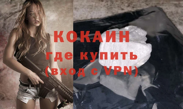 дживик Бронницы