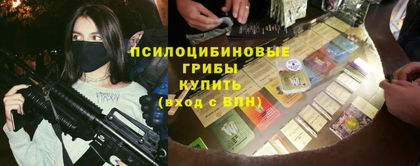 mix Богородицк