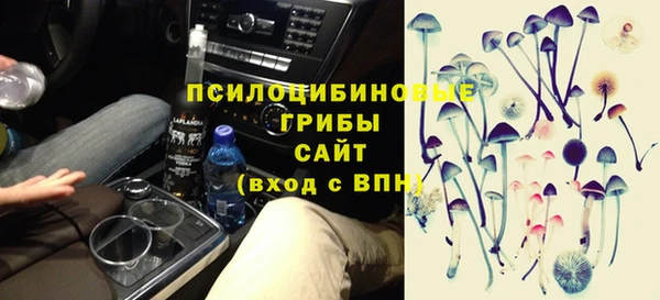 дживик Бронницы