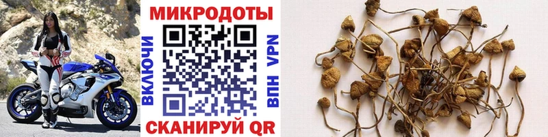 omg зеркало  наркотики  Гай  Галлюциногенные грибы Magic Shrooms 