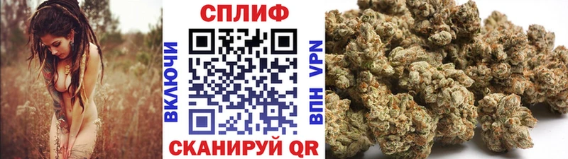 Каннабис ГИДРОПОН  закладки  Гай 